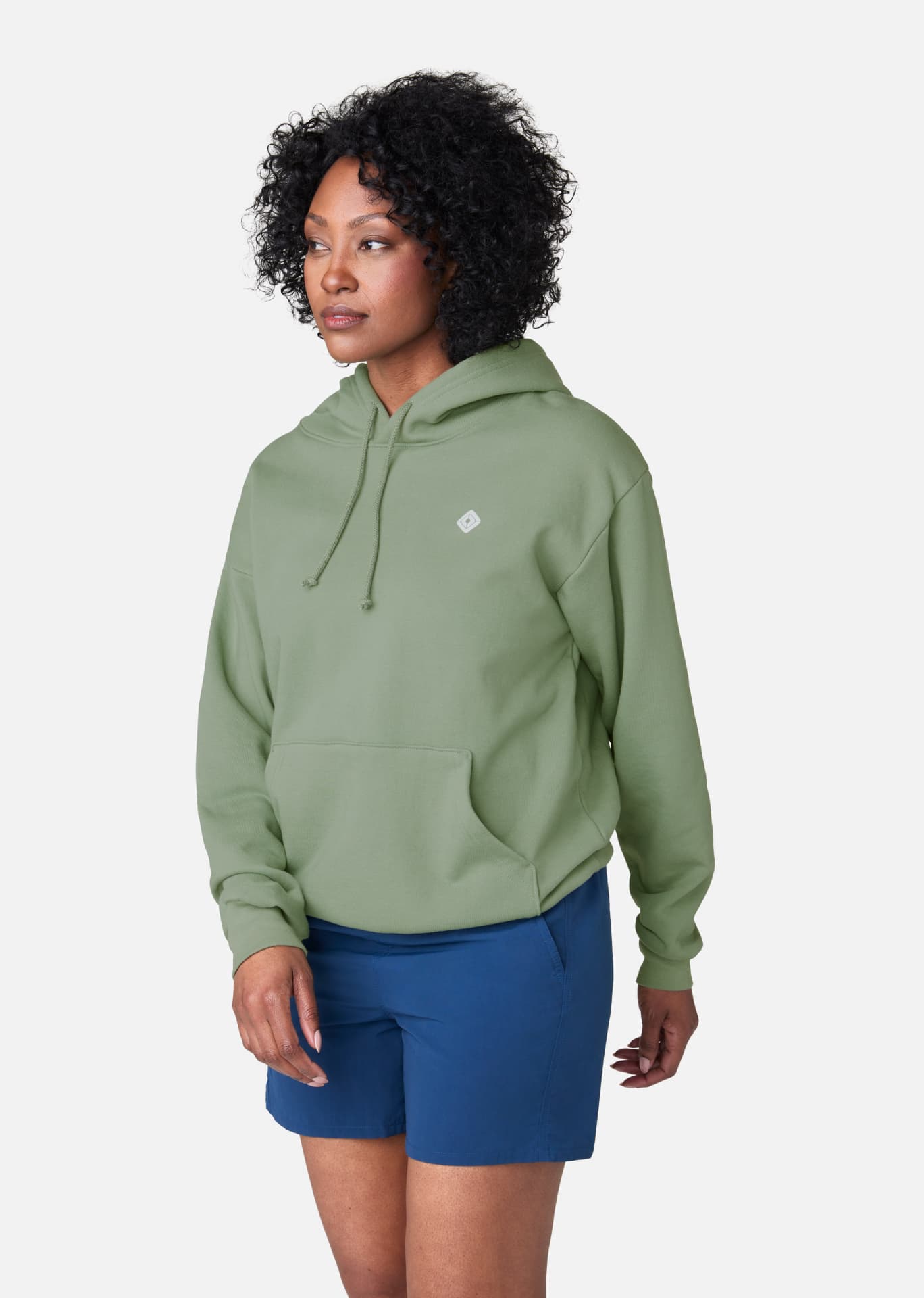 Sage new arrivals champion hoodie